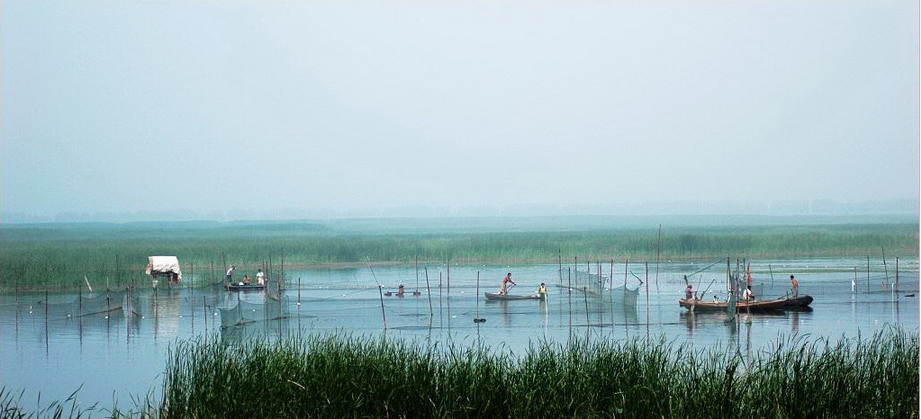Baiyangdian Lake10 Baiyangdian Lake10