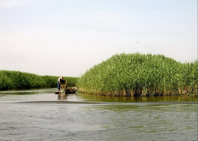 Baiyangdian Lake11 Baiyangdian Lake11