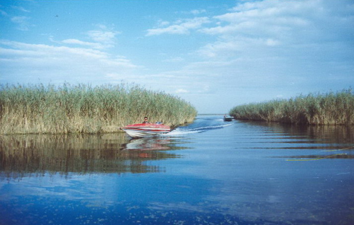 Baiyangdian Lake16 Baiyangdian Lake16