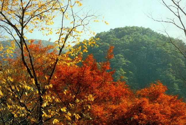 photo of Mountain Tiangui16