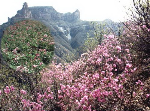 Mountain Zhangshiyan Scenic Area14 Mountain Zhangshiyan Scenic Area14