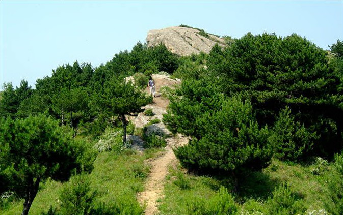 photo of Wuyue Village3