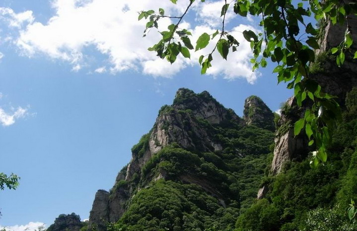 photo of Wuyue Village5
