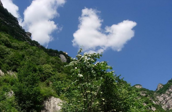 photo of Wuyue Village7