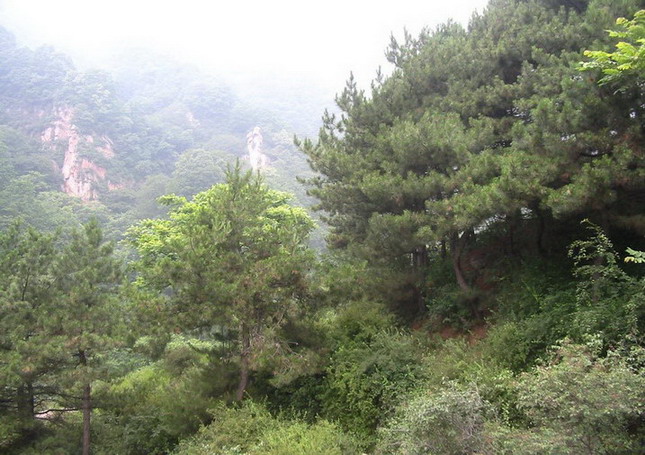 photo of Wuyue Village11