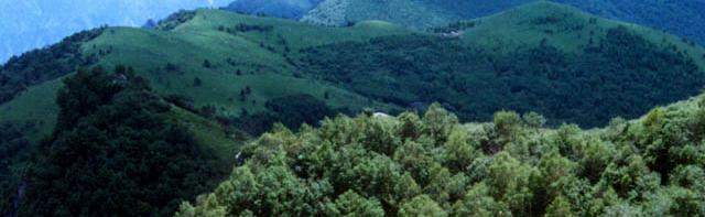 photo of Wuyue Village13
