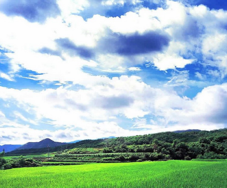 photo of Bashang Grassland9