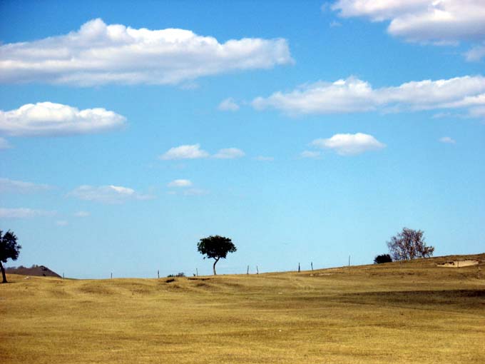 photo of Bashang Grassland10