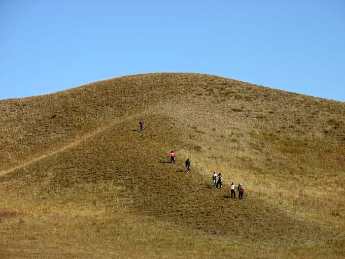 photo of Bashang Grassland11