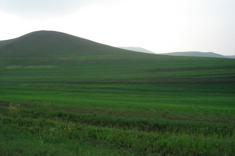 photo of Bashang Grassland14