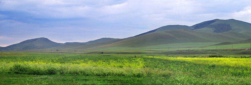 photo of Bashang Grassland15