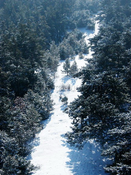 Saibei Skiing Field1 Saibei Skiing Field1