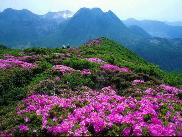 photo of Longyuwan National Forest Park10