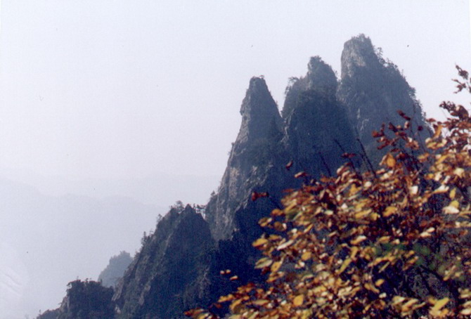 photo of Longyuwan National Forest Park11
