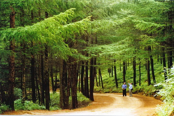 photo of Longyuwan National Forest Park13