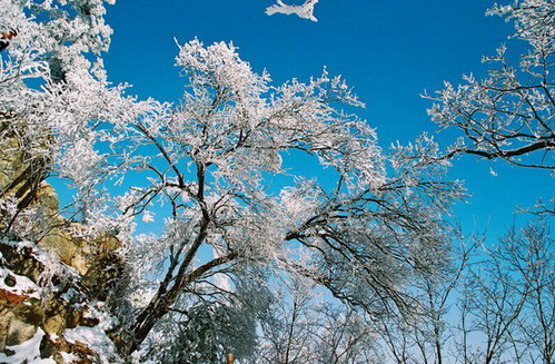 photo of Longyuwan National Forest Park15
