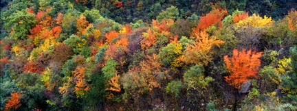 photo of Longyuwan National Forest Park