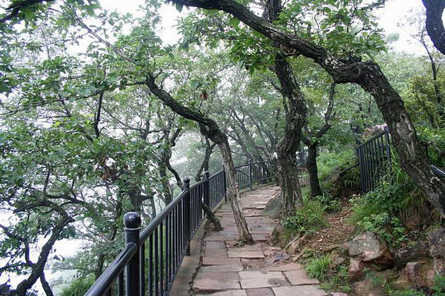 Mountain Wangwu Scenic Area6 Mountain Wangwu Scenic Area6