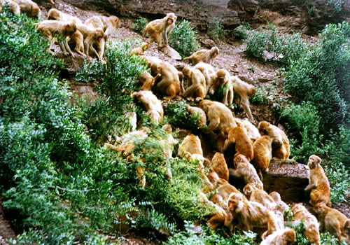 Wulongkou Scenic Area2 Wulongkou Scenic Area2