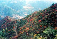 Wulongkou Scenic Area15 Wulongkou Scenic Area15
