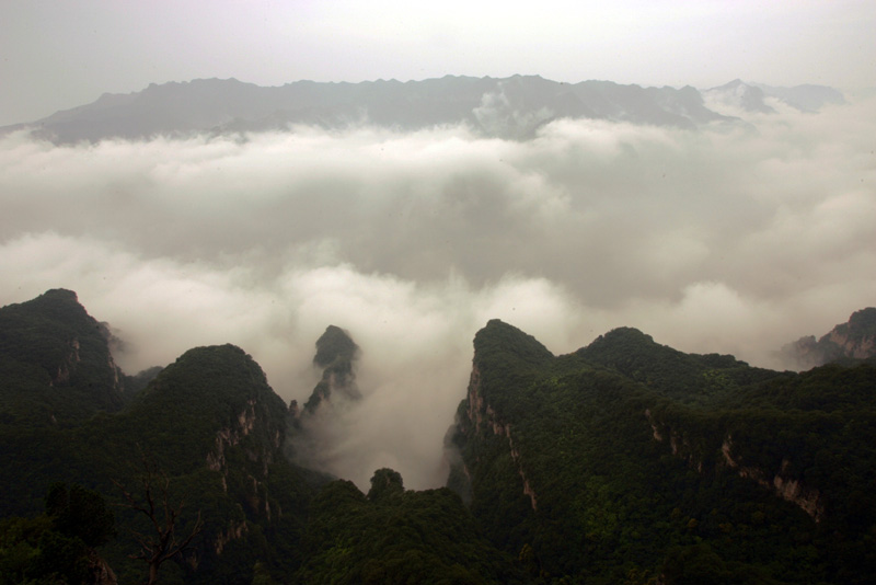 photo of Mountain Shennong Resort1