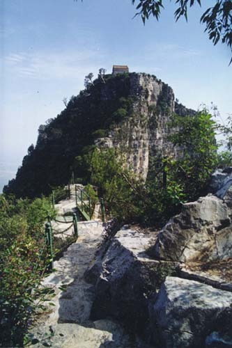Mountain Shennong Resort12 Mountain Shennong Resort12