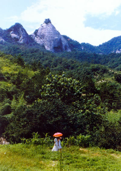 Baotianman Nature Reserve Area5 Baotianman Nature Reserve Area5