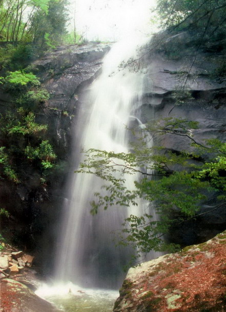 Baotianman Nature Reserve Area8 Baotianman Nature Reserve Area8