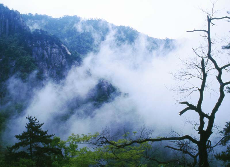 Baotianman Nature Reserve Area14 Baotianman Nature Reserve Area14