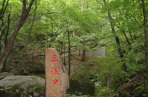 Baotianman Nature Reserve Area15 Baotianman Nature Reserve Area15