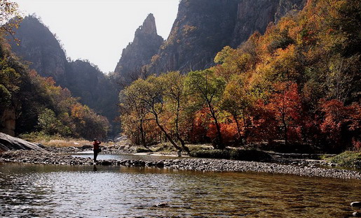 Mountain Funiu World Geopark10 Mountain Funiu World Geopark10