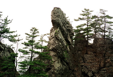 Mountain Funiu World Geopark15 Mountain Funiu World Geopark15