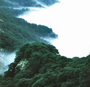 Mountain Tongbai Huaiyuan Resort5 Mountain Tongbai Huaiyuan Resort5