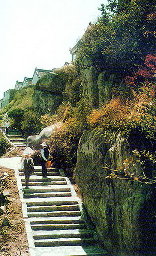 Mountain Tongbai Huaiyuan Resort15 Mountain Tongbai Huaiyuan Resort15