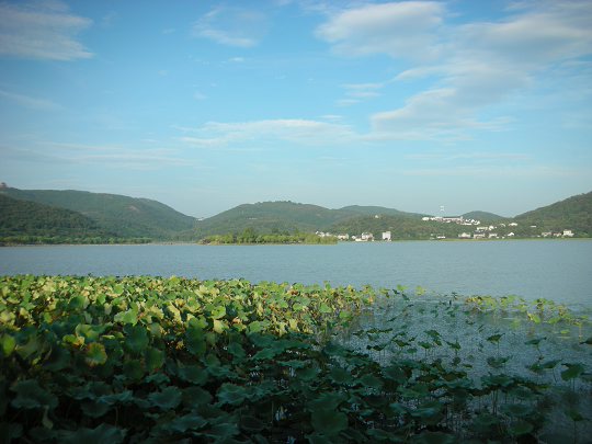 Boshan Lake Resort14 Boshan Lake Resort14