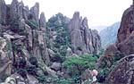 Chaya Stone Forest Chaya Stone Forest