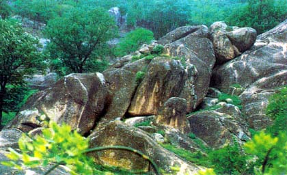 Pig-Like Stone Pig-Like Stone