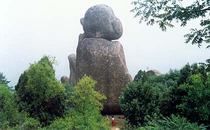 The Stone Monkey The Stone Monkey