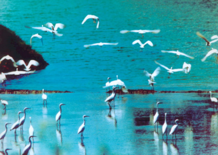 Nanwan Lake8 Nanwan Lake8