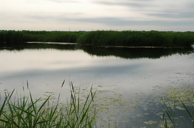 photo of Zhalong Natural Preserve