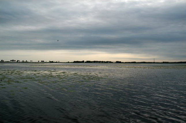photo of Zhalong Natural Preserve16