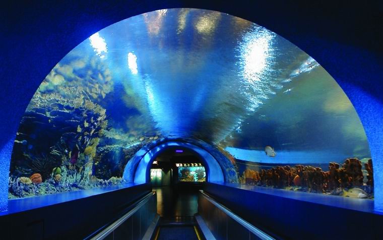 photo of Beijing Aquarium8