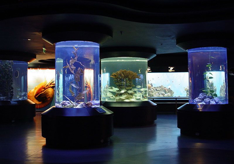 photo of Beijing Aquarium9