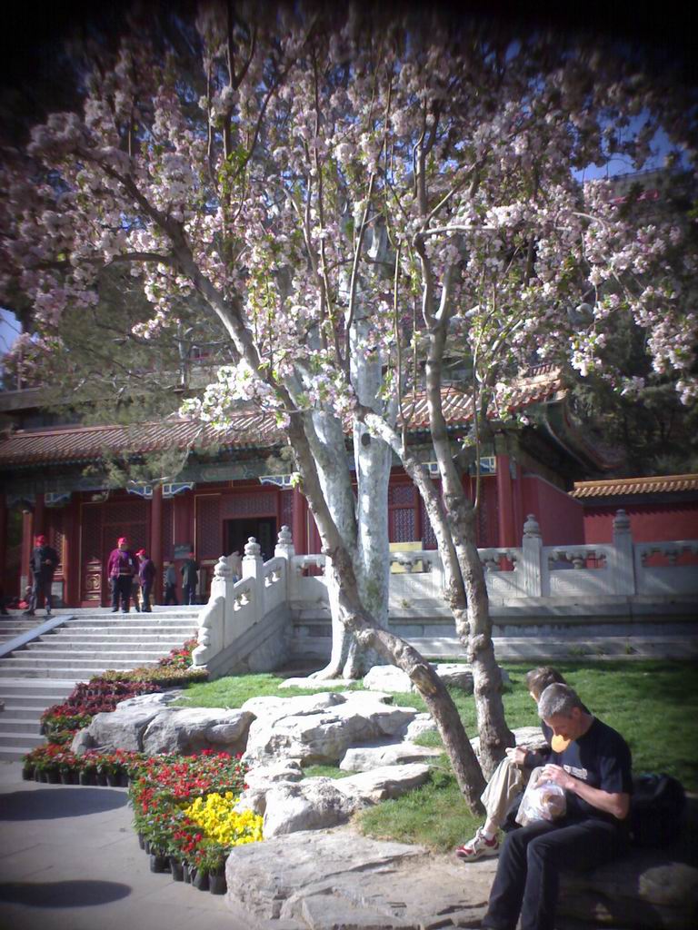 photo of Jingshan Hill Park