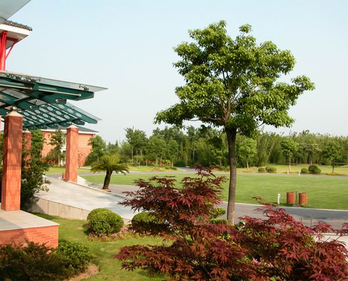 Sheshan National Holiday Resort4 Sheshan National Holiday Resort4