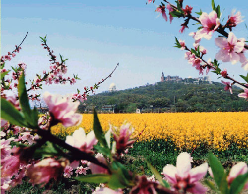 Sheshan National Holiday Resort6 Sheshan National Holiday Resort6