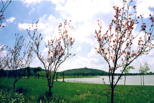 Sheshan National Holiday Resort7 Sheshan National Holiday Resort7