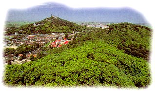 Sheshan National Holiday Resort9 Sheshan National Holiday Resort9