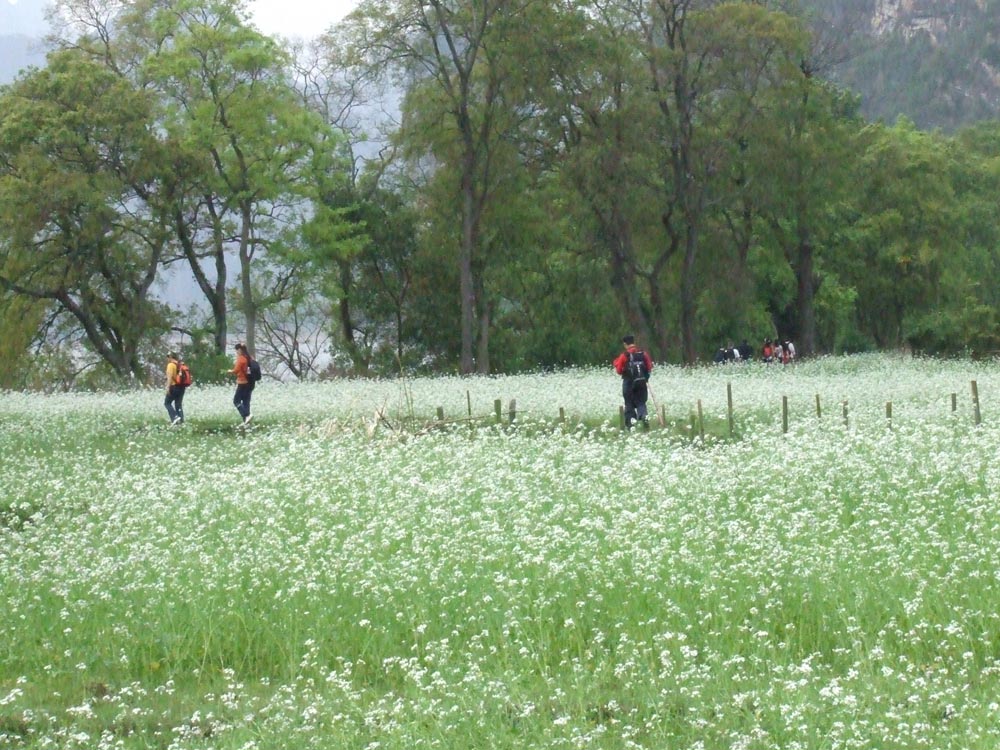 Caoping Village3