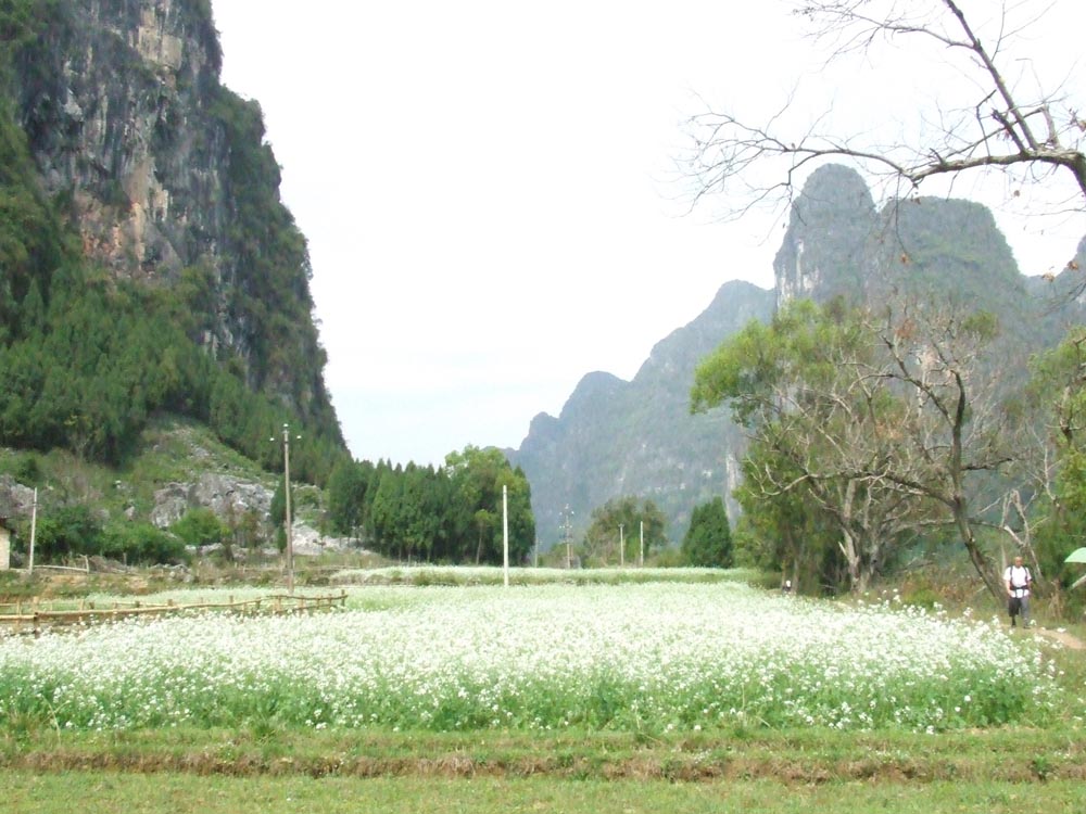photo of Caoping Village5